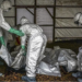 WHO: Wabah Ebola di Kongo Diduga Sudah Menyebar Sejak Januari Sebelum Terdeteksi 9 WHO: Wabah Ebola di Kongo Diduga Sudah Menyebar Sejak Januari Sebelum Terdeteksi
