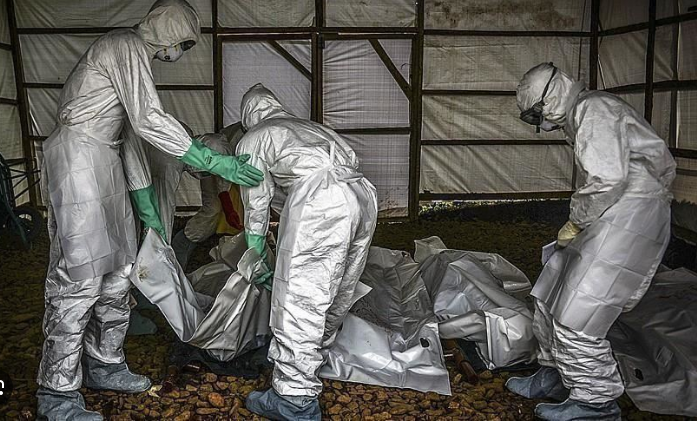 WHO: Wabah Ebola di Kongo Diduga Sudah Menyebar Sejak Januari Sebelum Terdeteksi 1 WHO: Wabah Ebola di Kongo Diduga Sudah Menyebar Sejak Januari Sebelum Terdeteksi