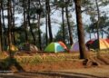 Sensasi Berkemah di Bukit Kanaga Hill Lautan Awan Memanjakan Mata