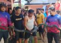 Ular Lanang Sapi dan Ular King Kobra 3,5 Meter Dievakuasi Tim Damkar 14 Ular Lanang Sapi dan Ular King Kobra 3,5 Meter Dievakuasi Tim Damkar