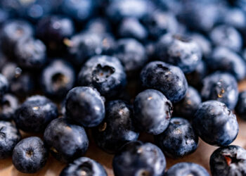 Underrated! Cek Manfaat Blueberry Buat Tubuh, Bisa Jaga Kesehatan Jantung? 4 Underrated! Cek Manfaat Blueberry Buat Tubuh, Bisa Jaga Kesehatan Jantung?
