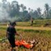 Tubuh Telanjang Tewas Tergeletak di Tengah Sawah 9 Tubuh Telanjang Tewas Tergeletak di Tengah Sawah