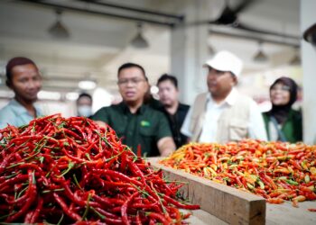 BPS Rilis Inflasi Pangan Mei 2026, GPM Jadi Salah Satu Upaya Stabilisasi Harga
