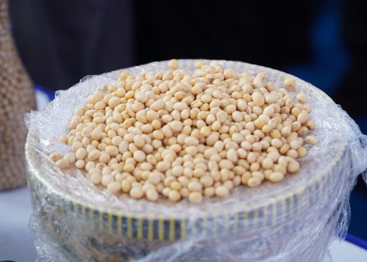 Kepala Bapanas: Harga Kedelai Impor Tidak Boleh Naik Semena-mena 1 Kepala Bapanas: Harga Kedelai Impor Tidak Boleh Naik Semena-mena