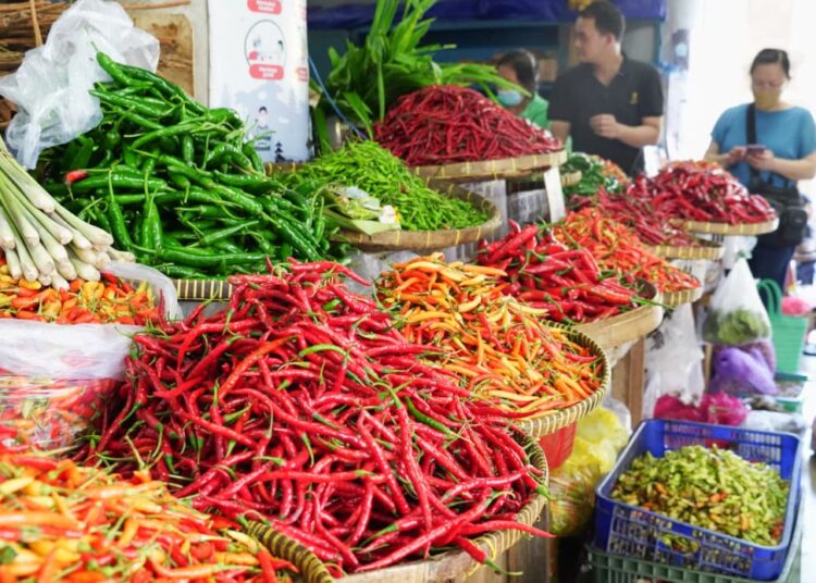 Pemerintah Jaga Harga Petani Cabai Dibarengi Penstabilan Harga di Tingkat Konsumen 1 Pemerintah Jaga Harga Petani Cabai Dibarengi Penstabilan Harga di Tingkat Konsumen
