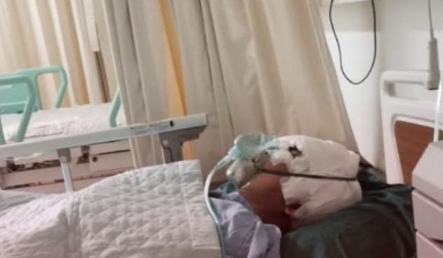 Hilang 3 Tahun, Yuvita Asal Rancaekek Diduga Disekap di Cileunyi Ditemukan Penuh Luka di RSHS Bandung 1 Hilang 3 Tahun, Yuvita Asal Rancaekek Diduga Disekap di Cileunyi Ditemukan Penuh Luka di RSHS Bandung