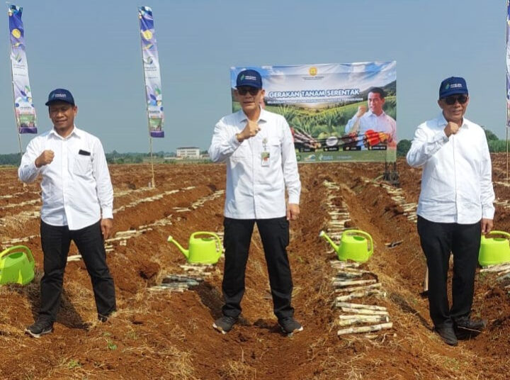 Akselerasi Swasembada Pangan, Kementan Gelar Tanam Serentak Komoditas Perkebunan di 12 Provinsi 1 Akselerasi Swasembada Pangan, Kementan Gelar Tanam Serentak Komoditas Perkebunan di 12 Provinsi