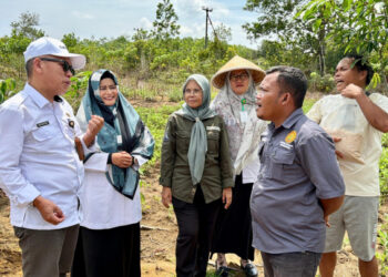 Kementan Perkuat Pengawalan Program dan Bantuan Pertanian Melalui BRMP di 38 Provinsi