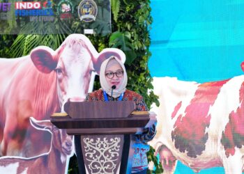 Peningkatan Produksi Protein Hewani Nasional Berbasis Integrasi Sapi-Sawit Jadi Solusi Strategis Swasembada Protein